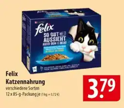 Famila Nord Ost felix Katzennahrung Angebot