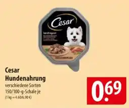 Famila Nord Ost Cesar Hundenahrung Angebot