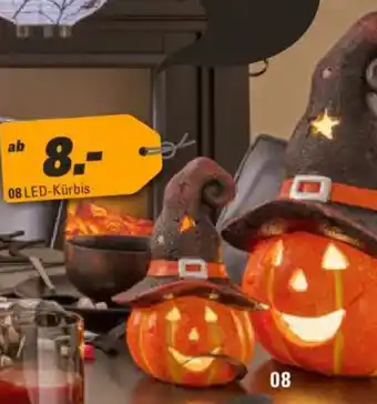 Höffner LED-Kürbis Angebot