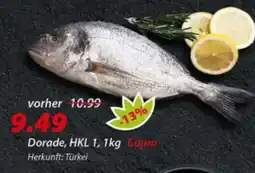 Hepsi-Markt Dorade Angebot