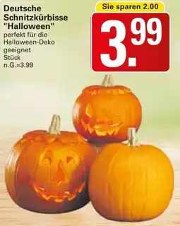 WEZ Deutsche Schnitzkürbisse "Halloween" Angebot