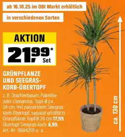 OBI GRÜNPFLANZE UND SEEGRAS- KORB-ÜBERTOPF Angebot