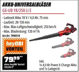 OBI Einhell AKKU-UNIVERSALBLÄSER GE-UB 18/250 Li E Angebot