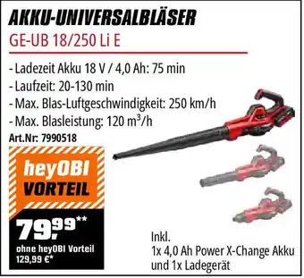 OBI Einhell AKKU-UNIVERSALBLÄSER GE-UB 18/250 Li E Angebot