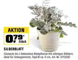 OBI SILBERBLATT Angebot