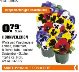 OBI HORNVEILCHEN Angebot
