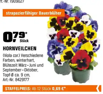 OBI HORNVEILCHEN Angebot