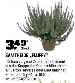 OBI SAMTHEIDE "FLUFFY" Angebot