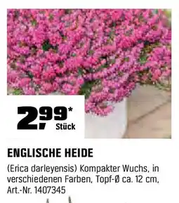 OBI ENGLISCHE HEIDE Angebot