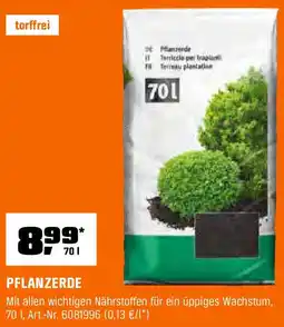 OBI PFLANZERDE Angebot