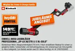 OBI EINHELL AKKU-LAUBBLÄSER PROFESSIONAL ,,GP-LB 36/270 LI E BL-SOLO" Angebot