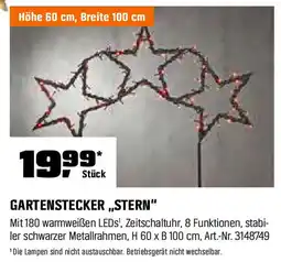 OBI GARTENSTECKER „STERN" Angebot