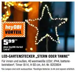 OBI LED-GARTENSTECKER „STERN ODER TANNE" Angebot