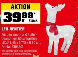 OBI LED-RENTIER Angebot