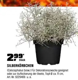 OBI SILBERKÖRBCHEN Angebot
