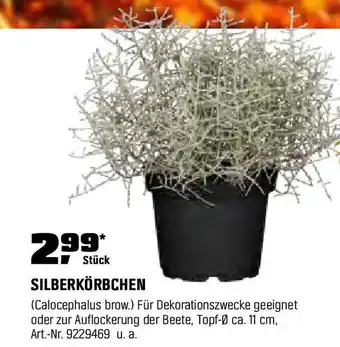 OBI SILBERKÖRBCHEN Angebot