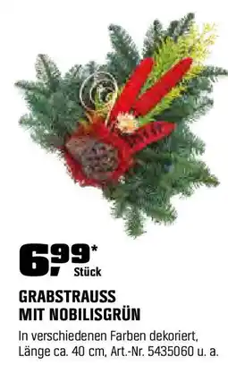 OBI GRABSTRAUSS MIT NOBILISGRÜN Angebot