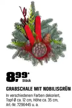 OBI GRABSCHALE MIT NOBILISGRÜN Angebot