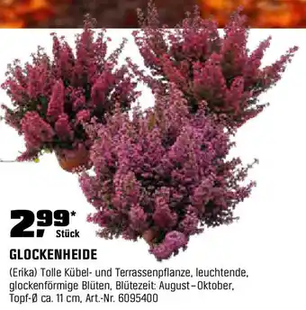OBI GLOCKENHEIDE Angebot