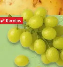 Kaufland Tafeltrauben Angebot