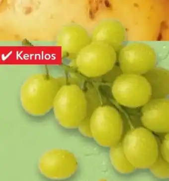 Kaufland Tafeltrauben Angebot