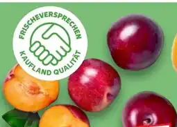 Kaufland Pflaumen Angebot