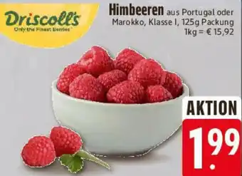 Edeka Driscoll's Himbeeren Angebot