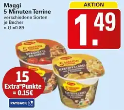 WEZ Maggi 5 Minuten Terrine Angebot