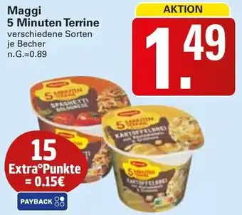 WEZ Maggi 5 Minuten Terrine Angebot