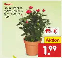 Netto Marken-Discount Rosen Angebot