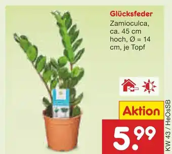 Netto Marken-Discount Glücksfeder Angebot