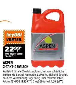 OBI Aspen 2-takt-gemisch Angebot