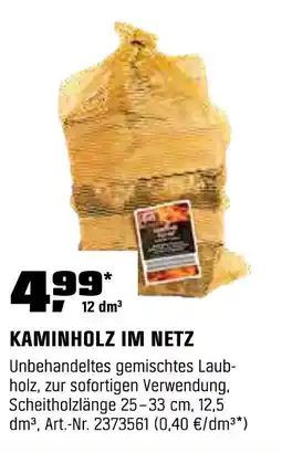 OBI Kaminholz im netz Angebot