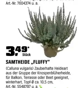OBI Samtheide „fluffy“ Angebot