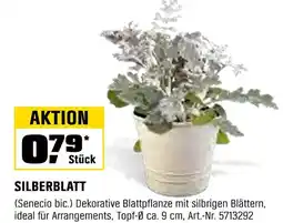OBI Silberblatt Angebot
