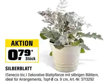 OBI Silberblatt Angebot
