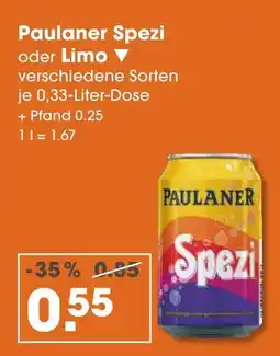V Markt Paulaner spezi Angebot