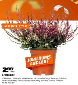 OBI Besenheide Angebot