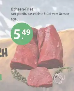 V Markt Ochsen-filet Angebot