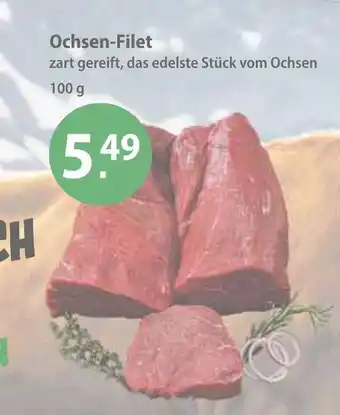 V Markt Ochsen-filet Angebot