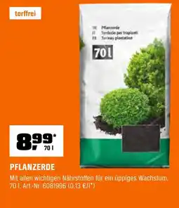 OBI Pflanzerde Angebot