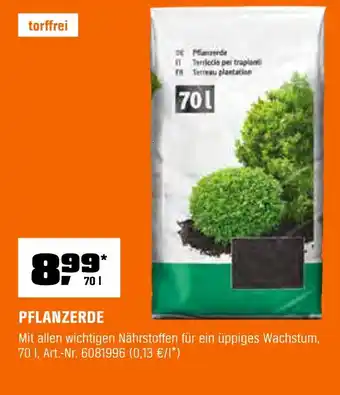 OBI Pflanzerde Angebot