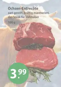 V Markt Ochsen-entrecôte Angebot