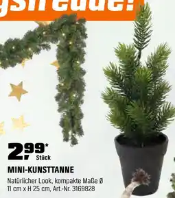 OBI Mini-kunsttanne Angebot