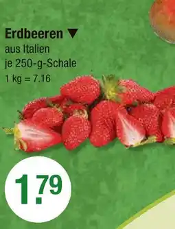 V Markt Erdbeeren Angebot