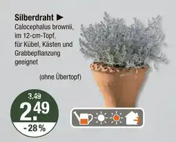 V Markt Silberdraht Angebot