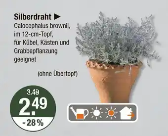 V Markt Silberdraht Angebot