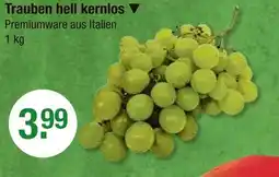 V Markt Trauben hell kernlos Angebot