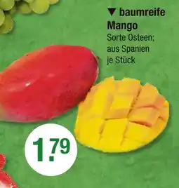 V Markt Baumreife mango Angebot