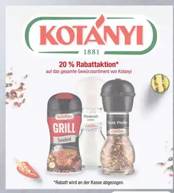 V Markt Kotanyi grill smoked Angebot